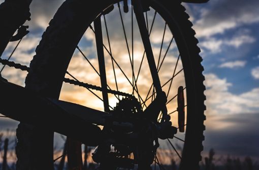 Ein Mountainbike ist gestohlen worden. Foto: Pixabay/Pixabay