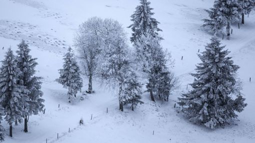 Wird es auch im Schwarzwald  in den nächsten Tagen schneien? (Archivbild) Foto: IMAGO/imagebroker/Harry Laub