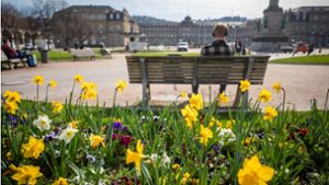 Viele Stuttgarterinnen und Stuttgarter genießen am Mittwoch die Sonnenstrahlen und die Blütenpracht in der Innenstadt. Foto: Lichtgut/Christoph Schmidt