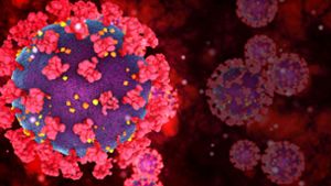 Die neuen Virusvarianten zeichnen sich durch Veränderungen am Stachel- oder Spikeprotein von Sars-CoV-2 aus, mit dem das Virus an Körperzellen andockt. Foto: imago images/Panthermedia