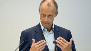 Der CDU-Politiker Friedrich Merz Foto: dpa/Bernd Weißbrod