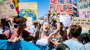 Dieses Bild eines „Fridays for Future“-Protests stammt aus dem Jahr 2019. Wegen der Corona-Pandemie rufen die Aktivisten an diesem Freitag zu Demos mit ausreichend Abstand auf. Foto: dpa/Marcel Kusch