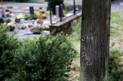 Ein Baum lenkte auf dem Friedhof die Handgranate ab. Foto: Ines Rudel/Archiv