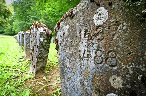 Der KZ-Friedhof in Vaihingen: Der Gedenkstättenverein will helfen, dass niemals Gras über die Geschichte wächst. Foto: factum/Granville