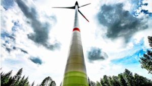 Windkraft im Wald ist ein heikles Thema. Das zeigt auch die aktuelle Diskussion im Bottwartal. Foto: dpa/Armin Weigel