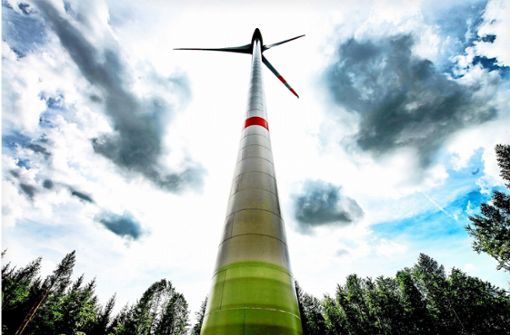 Windkraft im Wald ist ein heikles Thema. Das zeigt auch die aktuelle Diskussion im Bottwartal. Foto: dpa/Armin Weigel
