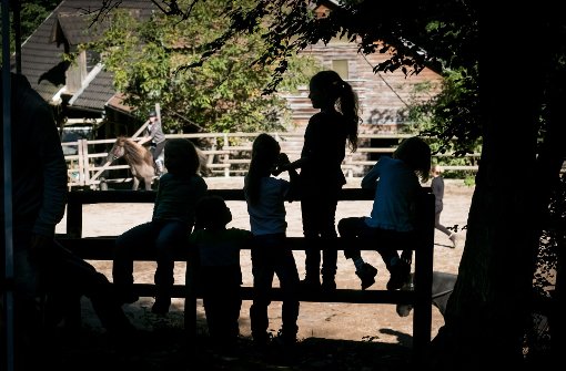 Reiten, Striegeln, Stall ausmisten: Auf der Jugendfarm Elsental sind auch hilfsbedürftige Kinder gut aufgehoben Foto: Lichtgut/Achim Zweygarth
