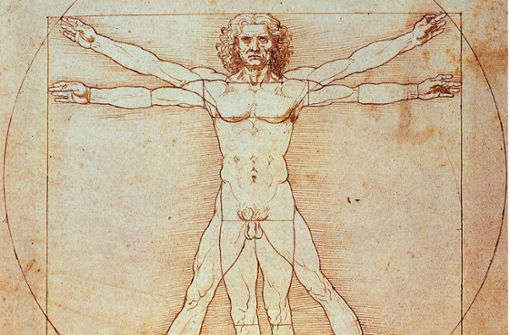 „Der Vitruvianische Mensch“ von Leonardo da Vinci Foto: picture-alliance //Rainer Binder