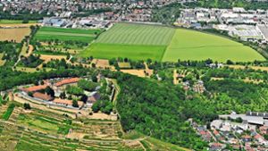Könnte ein Gemarkungswechsel den Schanzacker (oben)  am Fuße des Hohenaspergs (Mitte links) langfristig erhalten? Foto: Werner Kuhnle
