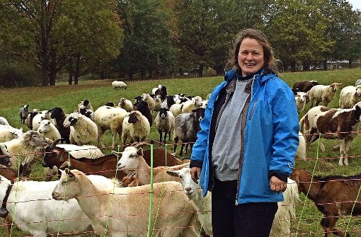Die Schäferin Nicole von Kopp Ostrowski braucht dringend Geld fürs Winterfutter für ihre Herde. Foto: Sascha Maier