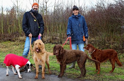 Tina Martini und ihr Ehemann Rüdiger Frimmel mit ihren vier Hunden Yahoo, Happy, Cherry und Rosi ärgern sich über Hundehaufen – und beteiligen sich an einer Aufsammelaktion. Foto: Caroline Holowiecki