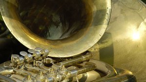 Ein Horn, eine Trompete und ein Bariton hat ein Unbekannter am Montag in Sachsenheim gestohlen. (Symbolbild) Foto: shutterstock/Bildagentur Zoonar GmbH
