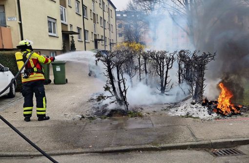 Die Feuerwehr löschte unter anderem eine brennende Hecke ab. Foto: z