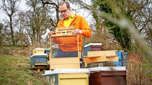Harald Einsle fertigt alles selbst, was er für seine Bienenhaltung braucht. Die Holzteile, die er in einer Scheune fand, sind dem Tüftler allerdings ein Rätsel. Foto: factum/Bach