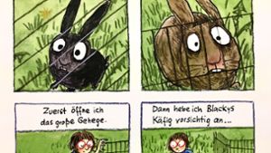 Bildsequenz aus  dem Comic „Manno!“ der Hauptpreisträgerin Anke Kuhl. Foto: jan