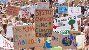 Die Klimaproteste der  „Fridays-for-Future“-Bewegung finden mittlerweile weltweit statt. Foto: dpa/Georg Wendt
