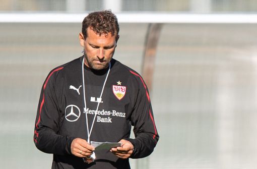 Der Druck auf den neuen VfB-Trainer Markus Weinzierl ist groß. Foto: dpa