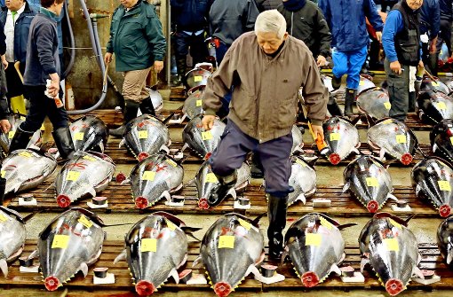 Ein Händler testet auf dem Fischmarkt Tsukiji in Tokio. Foto: AP