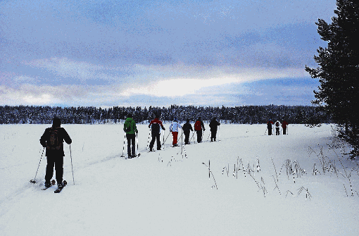 Querfeldein auf Skiern - die ursprünglichste Form des Langlaufs. Foto: Sturmhoebel