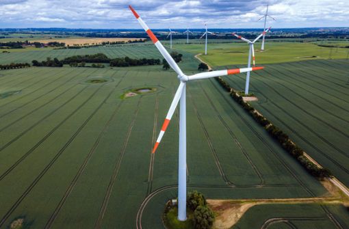 Grüne Energie sichert Unabhängigkeit, denn Autokraten können nicht verhindern, dass der Wind weht. Foto: dpa/Jens Büttner