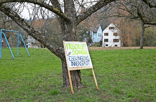 Eine Bürgerinitiative versucht, die Bebauung des Greut zu verhindern. Foto: Horst Rudel