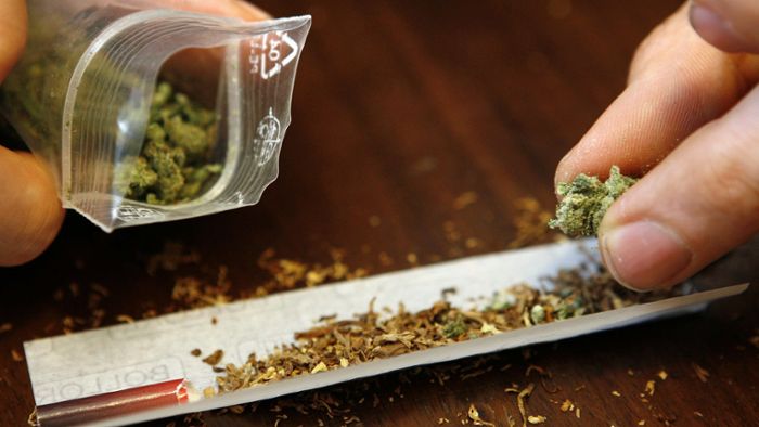 Prozessauftakt gegen Cannabis-Züchter