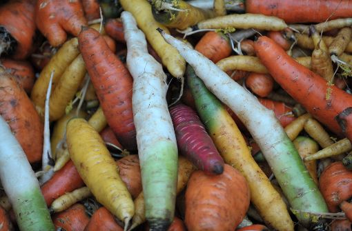 Möhren gibt es nicht nur in Orange, sondern auch in Gelb, in Rot und auch in Weiß. Das Gemüse wird im Herbst von heimischen Feldern geerntet und über den Winter gelagert. So können wir auch in der kalten Jahreszeit regionale Möhren genießen. Foto: dpa