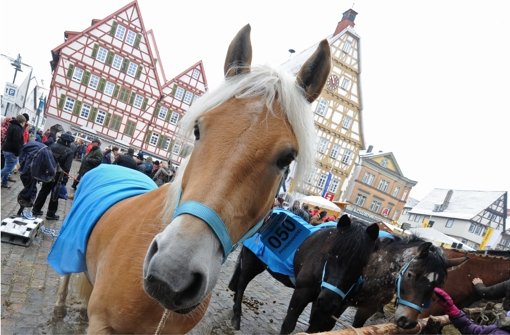Neben den Vierbeinern steht im Zentrum des Leonberger Pferdemarkts das Feiern an sich. Foto: dpa