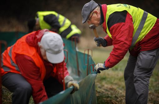 Die Helfer beim Zaunaufbau an der Straße nach Hößlinswart Foto: Gottfried Stoppel