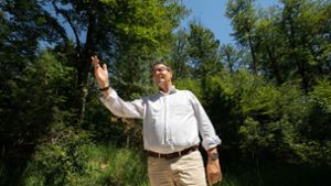 Im Sommer hat sich Minister Peter Hauk in mehreren Wäldern des Landes selbst ein Bild von der schwierigen Lage gemacht. Foto: /Michael Steinert