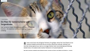 Die große Multimedia-Reportage der StN zum Thema Tierheime, Animal Hoarding und Tierschutz. Foto: StN