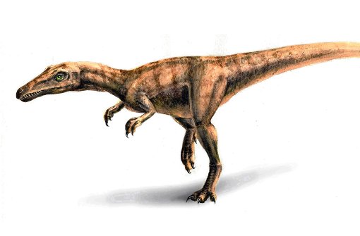 Die allermeisten  Dinos starben bald nach dem Meteoriteneinschlag  vor 66 Millionen Jahren aus. Foto: dpa