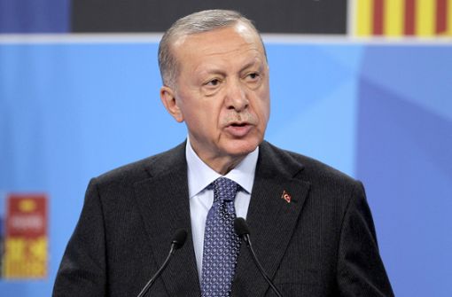 Recep Tayyip Erdoğan wirft besonders westlichen Journalisten vor, „Feinde“ der Türkei zu sein. Foto: IMAGO/Future Image/IMAGO/DyD Fotografos