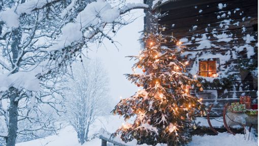 Egal ob in oder vor dem Haus – der Weihnachtsbaum gehört einfach dazu. Foto: imago/Westend61/imago stock&people