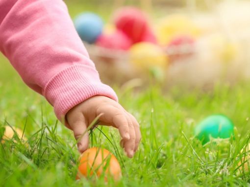 Einer der beliebtesten Osterbräuche: das Eiersuchen. Foto: Africa Studio/Shutterstock.com
