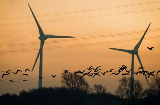 Saubere Energie, die das Klima schont: die Windkraft. Wir geben einen Überblick, wie die Parteien sie ausbauen wollen und was sie zur Landtagswahl jeweils in Sachen Klimaschutz fördern. Foto: dpa/Julian Stratenschulte