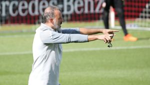 Gegen den VfL Wolfsburg will VfB-Coach Pellegrino Matarazzo endlich den ersten Dreier der Saison einfahren. Foto: Pressefoto Baumann/Alexander Keppler