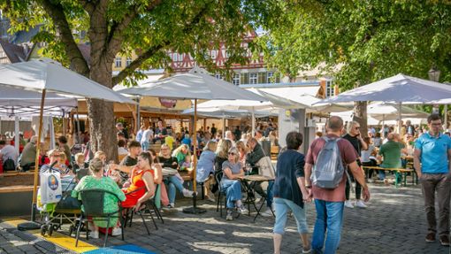Beim Esslinger Sommerfest Estival wurden die GEMA-Gebühren tageweise abgerechnet. Foto: Roberto Bulgrin