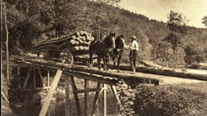 Vor 100 Jahren:  Holzfuhrwerke wurden mit Ochsen gezogen oder mit Pferden wie hier im Schwarzwald. Foto:  