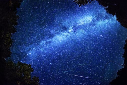 Hier erfahren Sie, welche Sternschnuppen heute im April 2024 am Nachthimmel zu sehen sind. Alle aktuellen Meteorströme im Überblick. Foto: Muskoka Stock Photos / Shutterstock.com