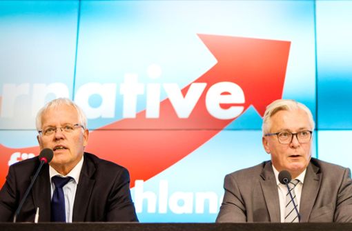 Innerparteiliche Gegner: Emil Sänze und Bernd Gögel (r.) stehen an der Spitze der Landtags-AfD. Foto: dpa/Christoph Schmidt