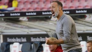 Voller Einsatz an der Seitenlinie: VfB-Trainer Pellegrino Matarazzo Foto: Pressefoto Baumann