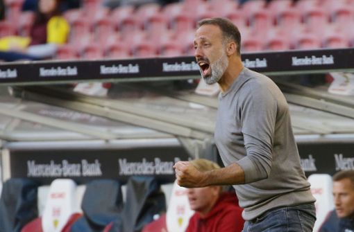 Voller Einsatz an der Seitenlinie: VfB-Trainer Pellegrino Matarazzo Foto: Pressefoto Baumann
