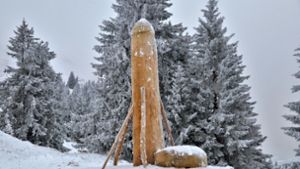 Er steht wieder: der Holzpenis in den Alpen. Foto: dpa/Davor Knappmayer