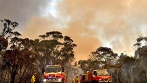 Feuerwehrleute kämpfen nahe Sydney gegen die Flammen. Seit Oktober brennt es in Australien. Foto: dpa/Dean Lewins