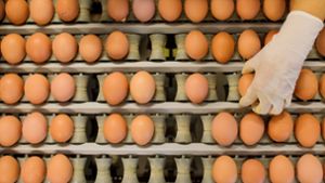 Eier aus einem niedersächsischen Betrieb mit Freilandhaltung werden abgepackt. Foto: dpa