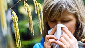 Die Pollen des Haselstrauchs und anderer Pflanzen dämpfen die Freude an der Natur. Foto: dpa