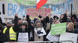 In ganz Deutschland kam es in den vergangenen Tagen zu Protesten gegen die Sparpläne der Ampelregierung. Im Foto ist eine Großkundgebung in Berlin zu sehen. Foto: dpa/Sebastian Gollnow