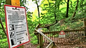 Der Aufenthalt am Kreidefelsen ist nicht ganz ungefährlich, wie diese Warnschilder auf Rügen verdeutlichen. Foto: Przybilla