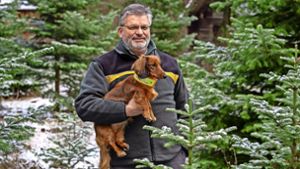 Steffen Frank mit seinem Hund Dana – in einer Schonung, in der auch Nordmanntannen für Weihnachten heranwachsen, Foto: factum/Weise